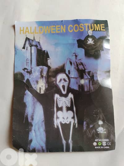 adult Halloween costume