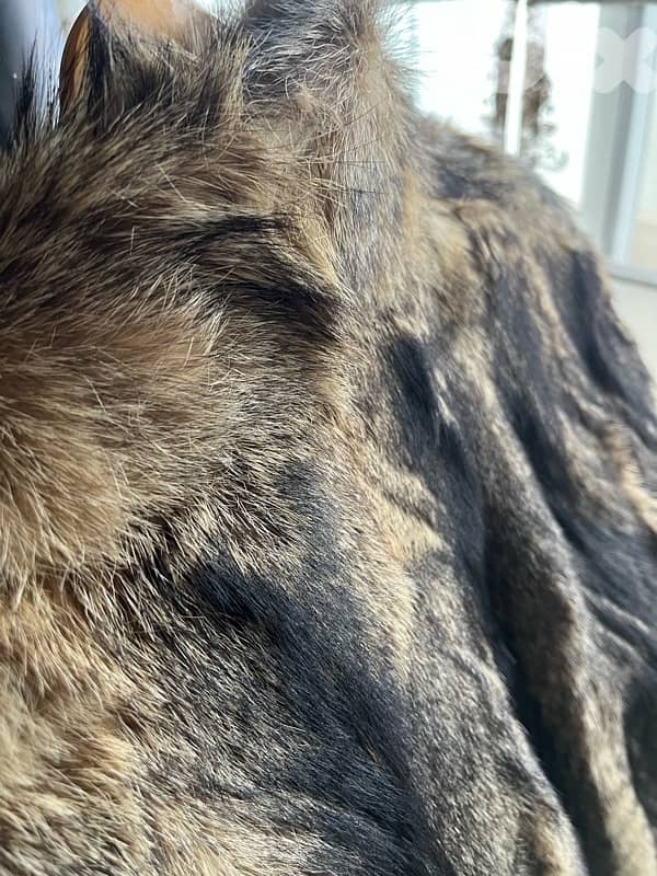 Fur coat 2