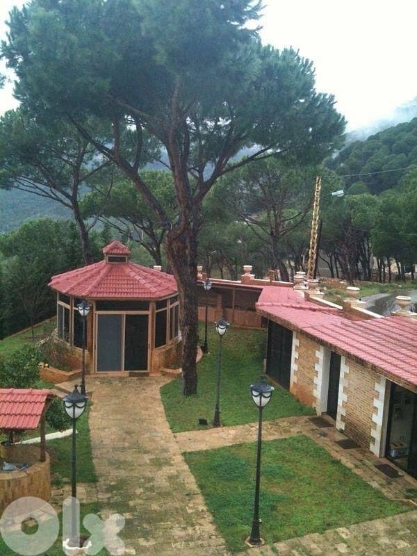 magnificent villa for sale in broumana 0