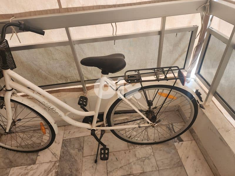 Bellaista Bicycle with front box 1