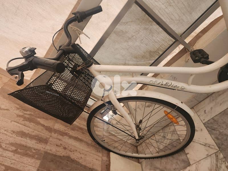 Bellaista Bicycle with front box 2