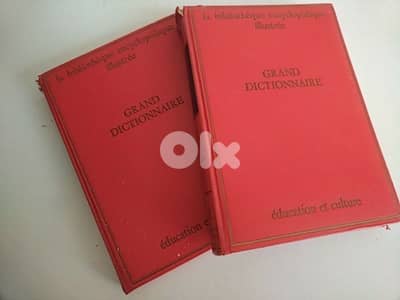 Old grand dictionnaire (2 volumes) - Not Negotiable