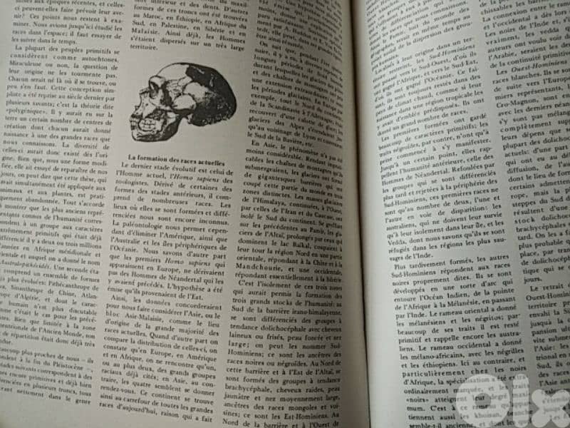 Vintage Encyclopedia Lumières - Not Negotiable 1