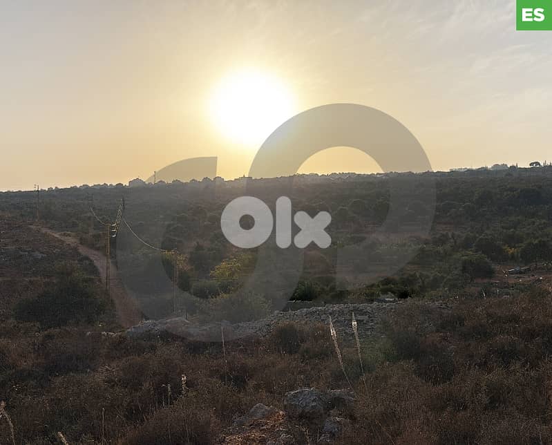 panoramic view all over the region, koura, bterram/بترام REF#ES127034 0