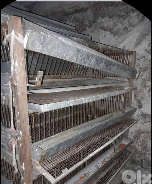 جونيه  زوق مكايل 0