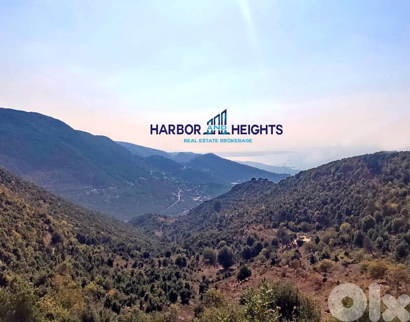 land for sale in Ghineh أرض  للبيع في الغينة 0