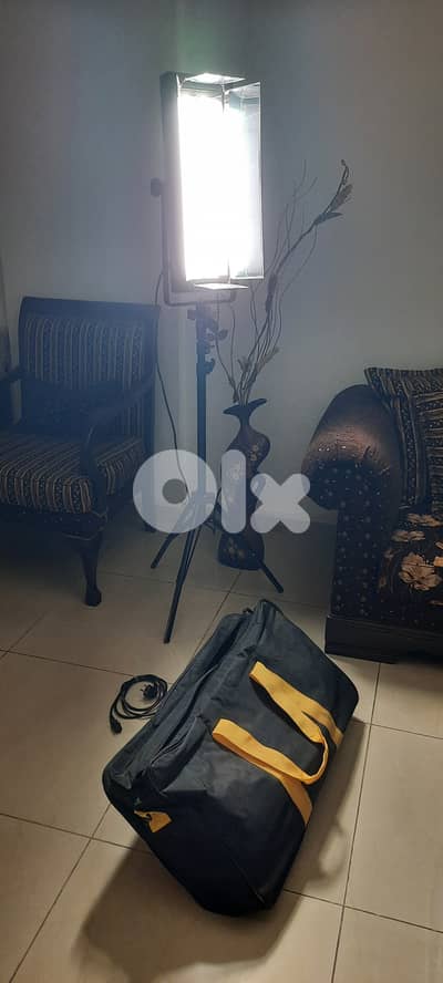 Fluorescent Photo/Video light