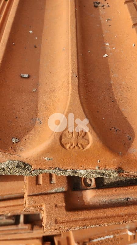 قرميد النحلة/rooftiles marseille 1