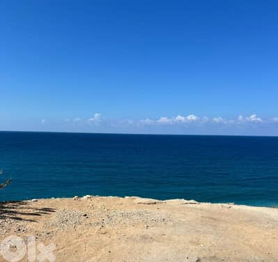 4 Lands for sale in Jbeil