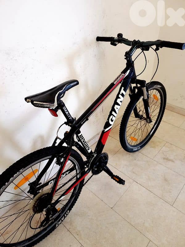 bicycle Giant usa 1