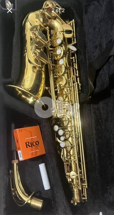 Echo saxophone used for 2 month with 12 reeds rico