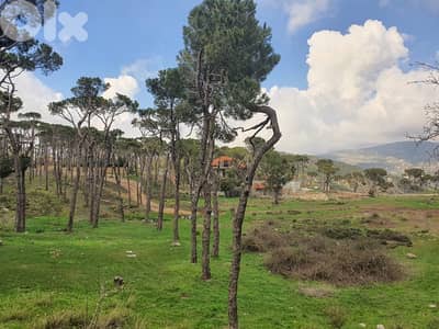 beautiful apartment for sale at bolonia