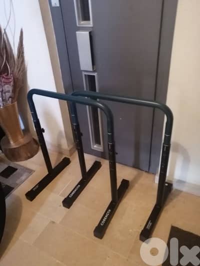 gymnastic bars