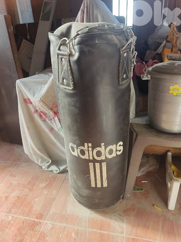 المعمورة شارع خديجة همدر 0