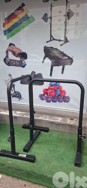 Calisthenics Dip Bar Geo Gym Equipment معدات رياضية متنوعة 2