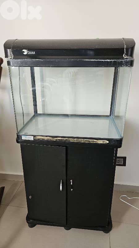 big fish tank 1