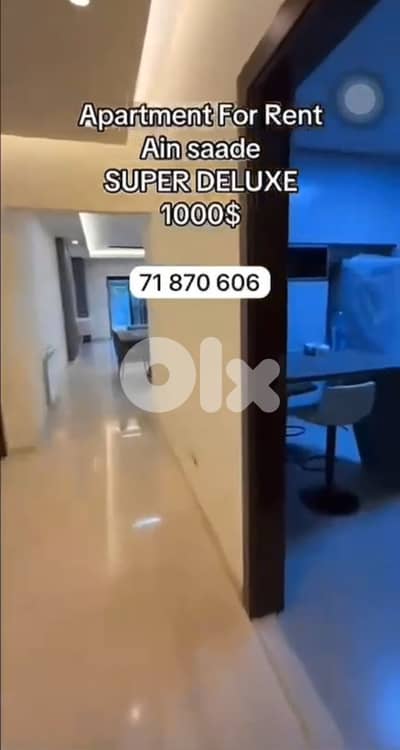 Apartment for rent in Ain Saade شقة للايجار في عين سعادة