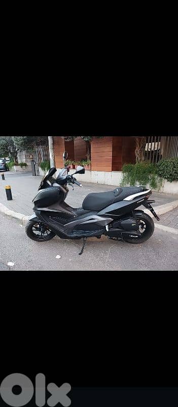 V. max 2022 like New 79131009 1