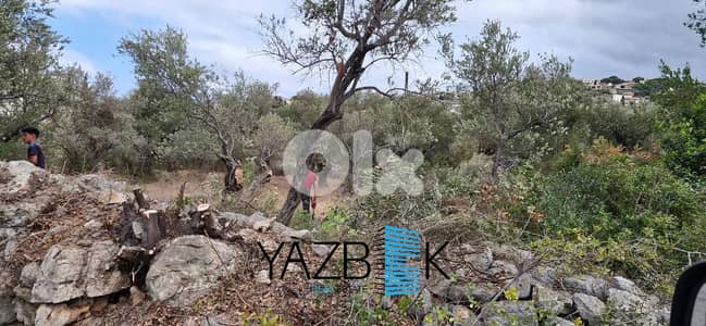 Land for Sale in Monsef   أرض للبيع في المنصف