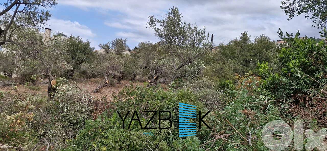Land for Sale in Monsef   أرض للبيع في المنصف 1