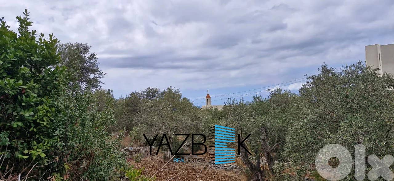 Land for Sale in Monsef   أرض للبيع في المنصف 6