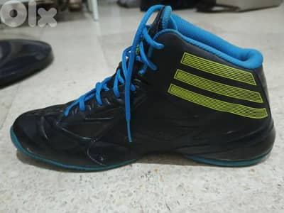 Derrik Rose basketball shoes
