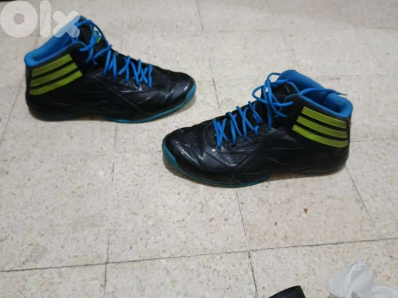 Derrik Rose basketball shoes 1