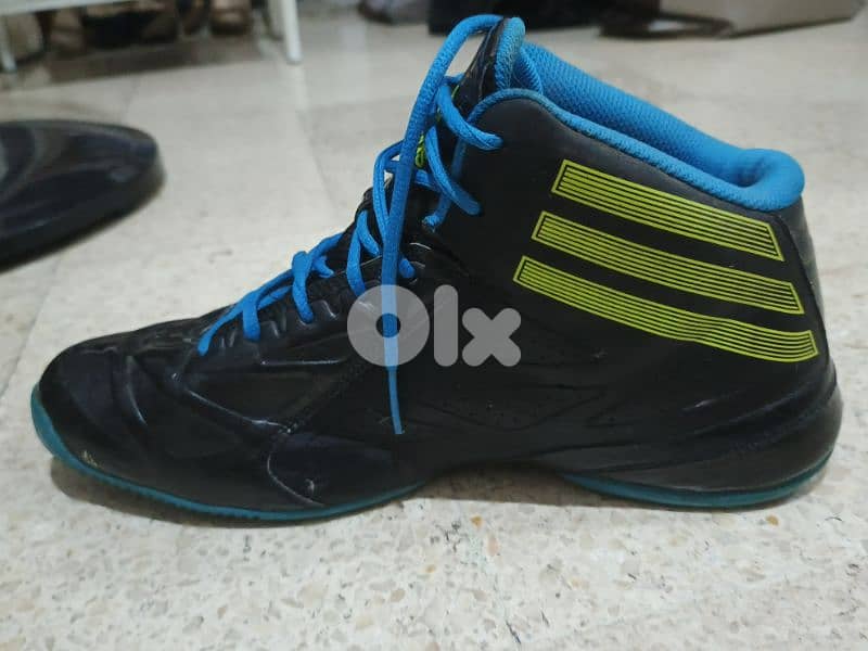 Derrik Rose Basketball shoes 0