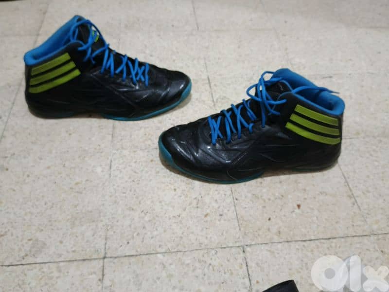 Derrik Rose Basketball shoes 2