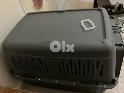 kennel