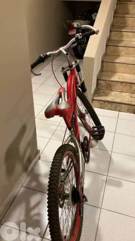 bicycle 1