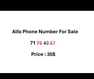 phone number