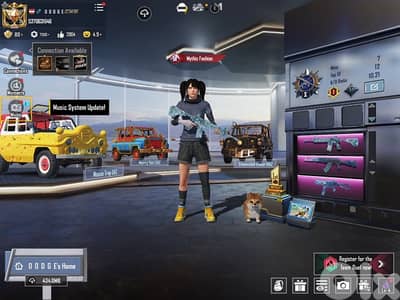 Pubg Mobil account for sale