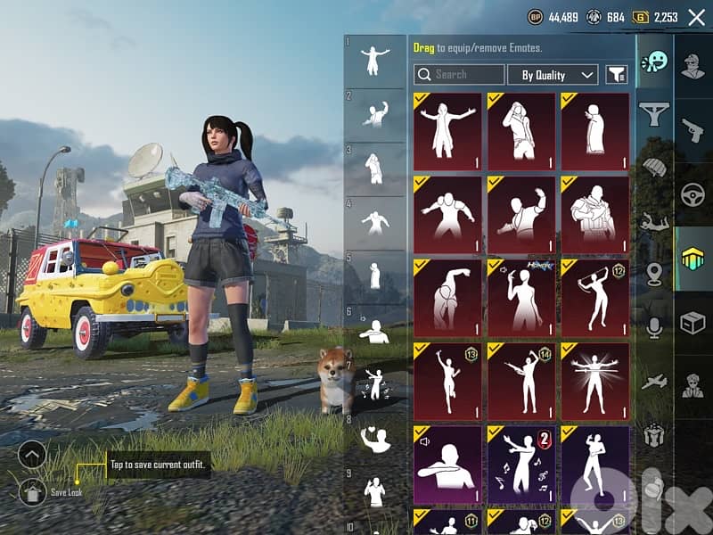 Pubg Mobile account for sale 13