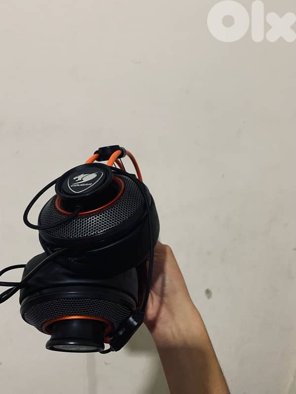 Cougar immersa for sale 3