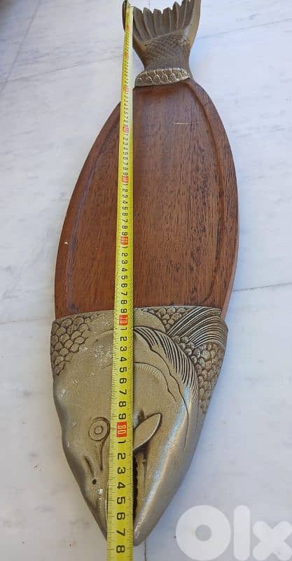 صينية سمكة 4