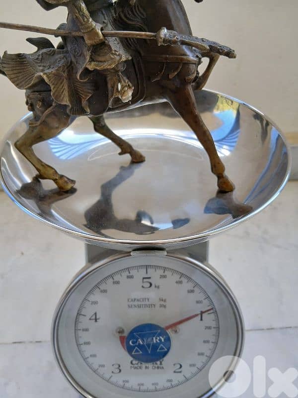 الفارس المغولي 10