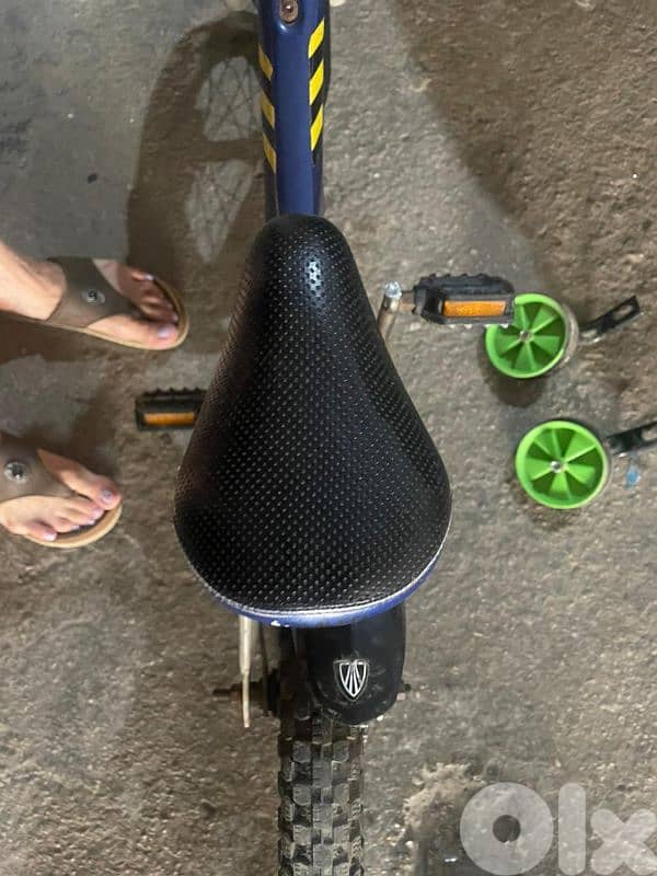 Trek bicycle for kids 1