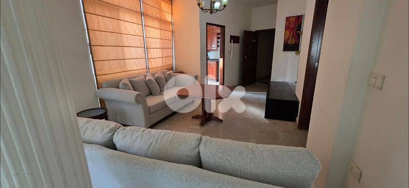 Apartment For Rent Adonis Furnished Daily 6