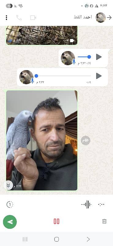 فرخ كاسكو 1