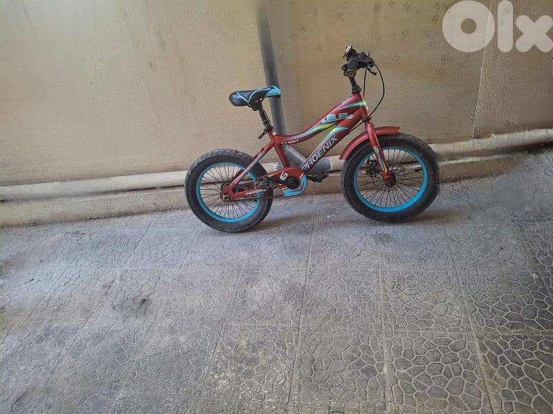 Bicycle للبيع بحالة ممتازة 2
