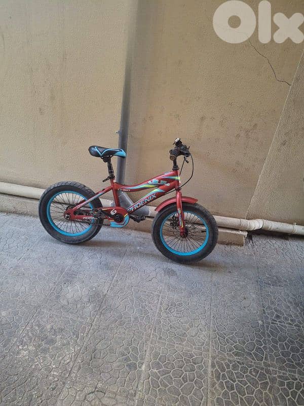 Bicycle للبيع بحالة ممتازة 3