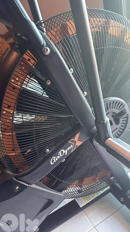Airbike Octane Airdyne X series 1