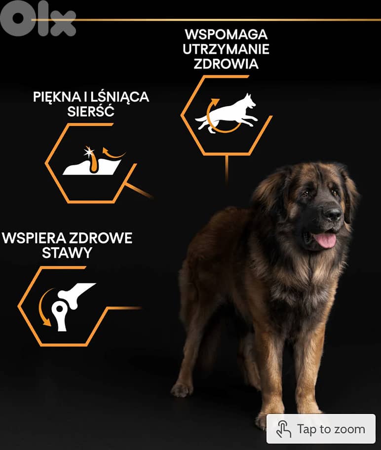 Purina Pro Plan Large Adult Robust 1