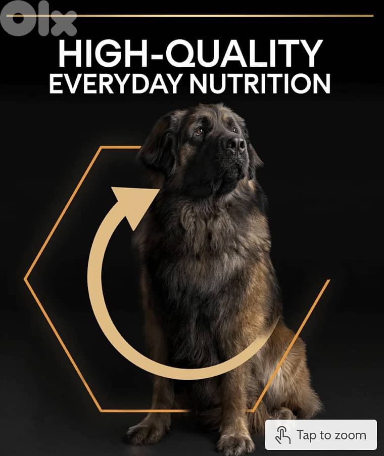 Purina Pro Plan Large Adult Robust 2