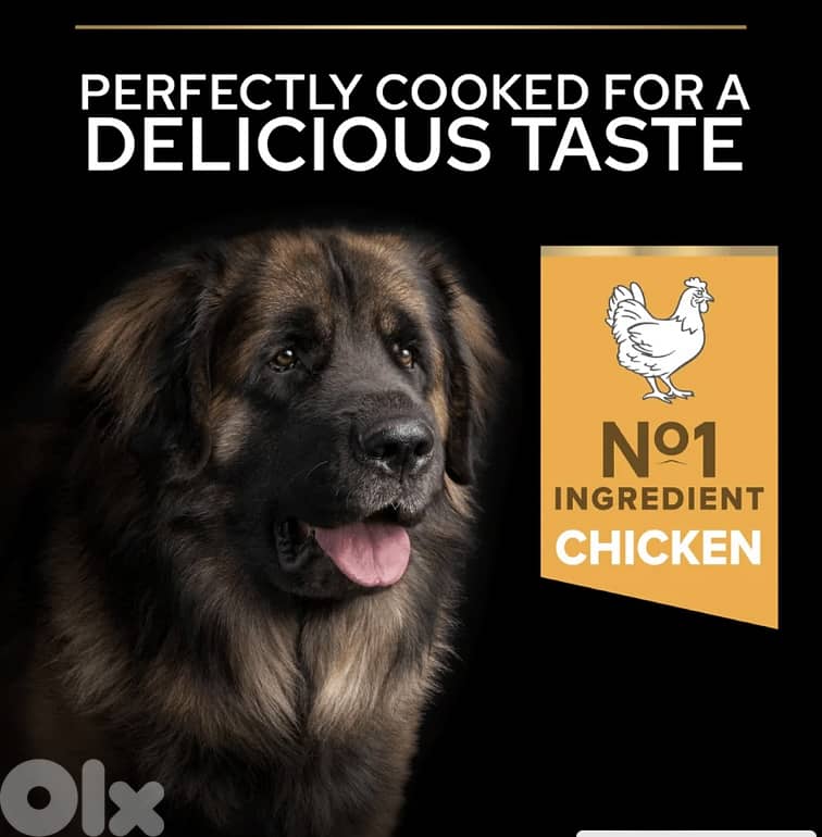 Purina Pro Plan Large Adult Robust 4