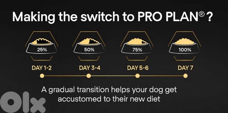 Purina Pro Plan Large Adult Robust 8