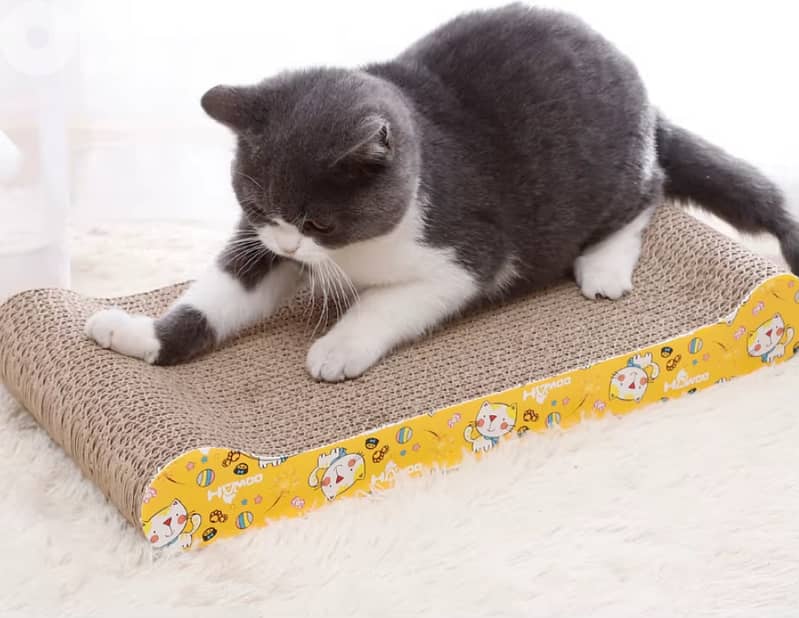 Cat Scratching Board – Shaped Design 1