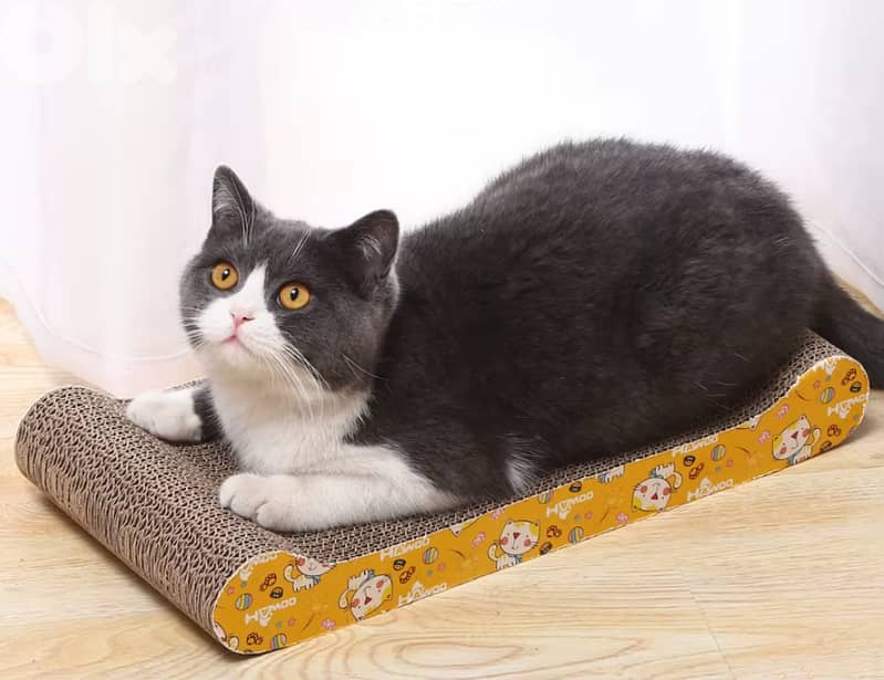 Cat Scratching Board – Shaped Design 2