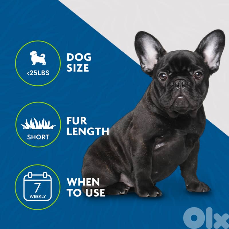 FURminator Undercoat deShedding Tool – Small Dogs & Cats, Short Hair 4